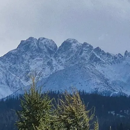 Horská chata Malczykowka-luksusowy Dom & - Jacuzzi, Sauna, Teznia , Z Widokiem Na Tatry