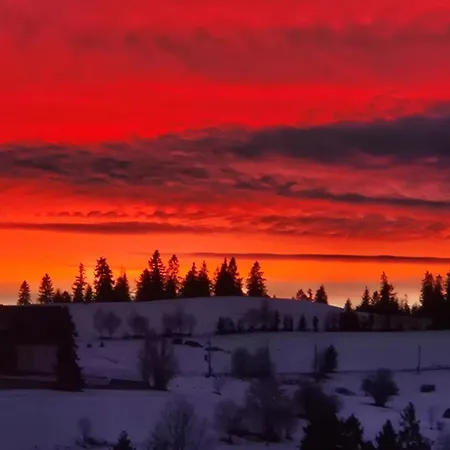 בקתה Malczykowka-luksusowy Dom & Spa, Z Widokiem Na Tatry *